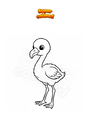 Ausmalbild Flamingo-Jungtier