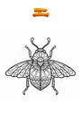Ausmalbild Fliegender Käfer Mandala Zentangle
