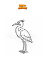 Ausmalbild Reiher