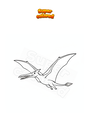 Ausmalbild Rhamphorhynchus