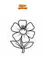Coloriage Fleur avec pistil