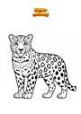 Coloriage Léopard