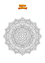 Coloriage Mandala Zentangle Indien 260