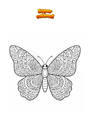 Coloriage Papillon Mandala Zentangle