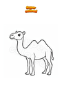 Coloring page Camel