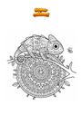 Coloring page Chameleon on Branch Mandala Zentangle