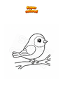 Coloring page Little bird