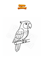 Coloring page Parrot