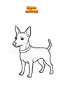 Coloring page Pinscher dog