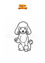 Coloring page Poodle giving the paw