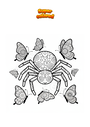 Coloring page Spider with Butterflies Mandala Zentangle