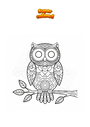 Dibujo para colorear Búho en rama Mandala Zentangle