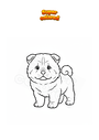 Dibujo para colorear Cachorro de perro Chow Chow