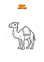Dibujo para colorear Dromedario