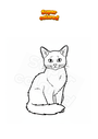 Dibujo para colorear Gato somalí