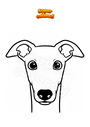 Dibujo para colorear Hocico de galgo