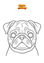 Dibujo para colorear Hocico de perro pug