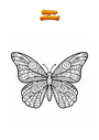 Dibujo para colorear Mandala Mariposa Zentangle