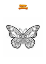 Dibujo para colorear Mariposa con alas anchas Mandala Zentangle