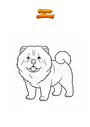 Dibujo para colorear Perro chow chow