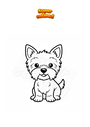 Disegno da colorare Cane Yorkshire terrier