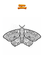 Disegno da colorare Falena Mandala Zentangle