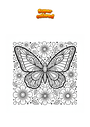 Disegno da colorare Farfalla con fiori Mandala Zentangle