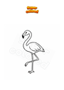 Disegno da colorare Fenicottero