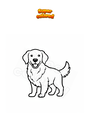 Disegno da colorare Golden Retriever