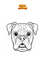 Disegno da colorare Muso di cane Boxer