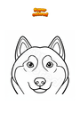 Disegno da colorare Muso di cane Husky