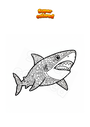 Disegno da colorare Squalo con bocca aperta Mandala Zentangle