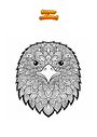 Disegno da colorare Testa di aquila Mandala Zentangle
