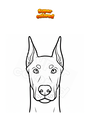 Disegno da colorare Viso cane Dobermann